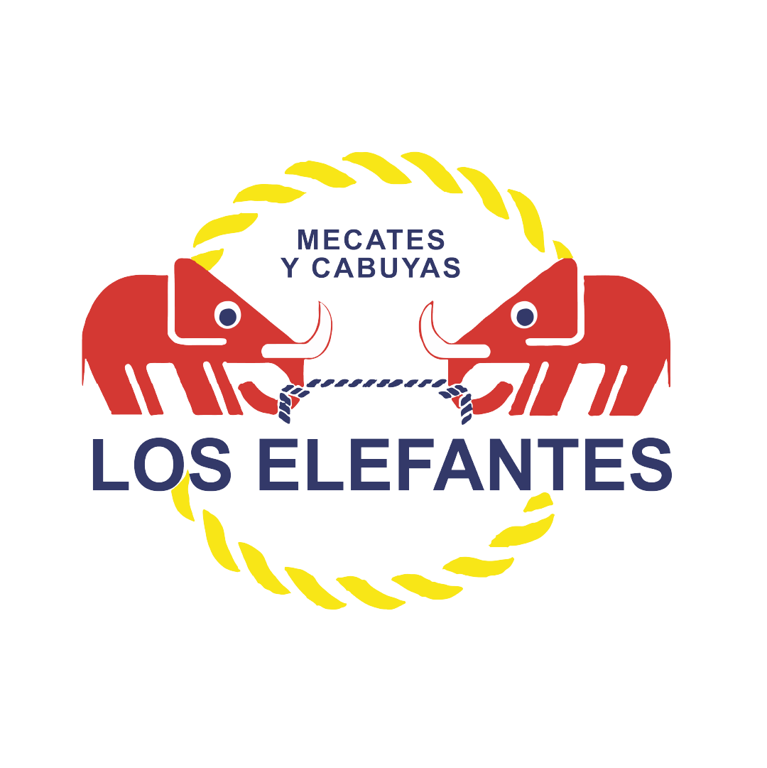Elefante